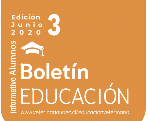 boletin-junio-3-2020-06-02-18_25_13