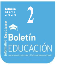 boletin-2