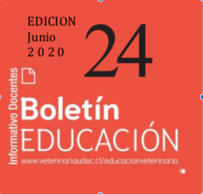 boletin-24