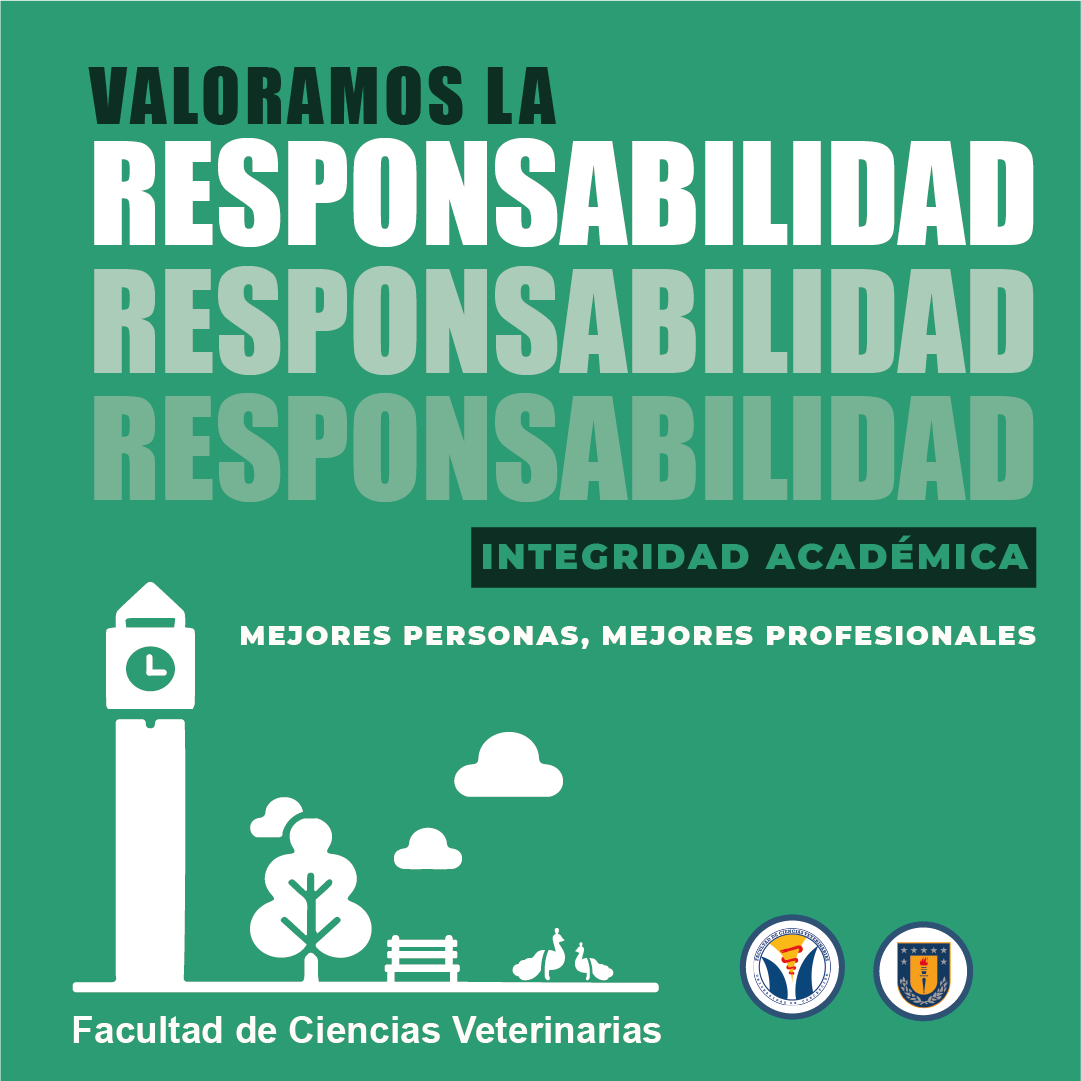 responsabilidad