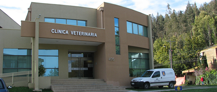 CVconcepcion CVconcepcion