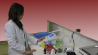 Servicios Detalles acerca de los servicios disponibles en la Facultad de Ciencias Veterinarias de la Universidad de Concepción