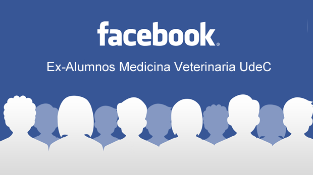 facebook-veterinaria3