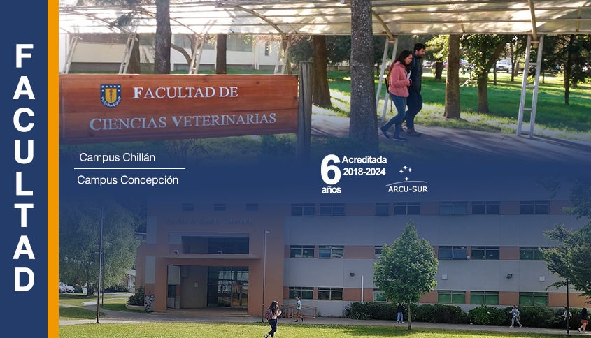 facultadv3