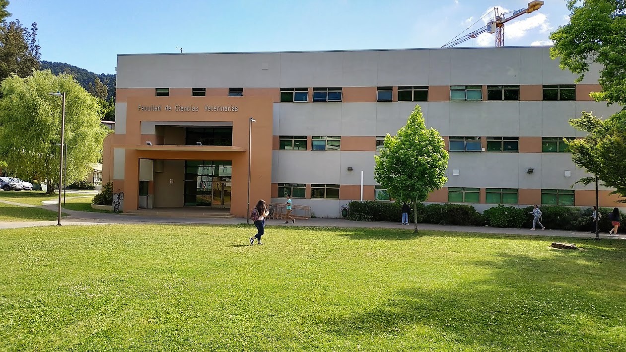 frontis-concepcion