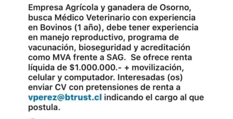 oferta