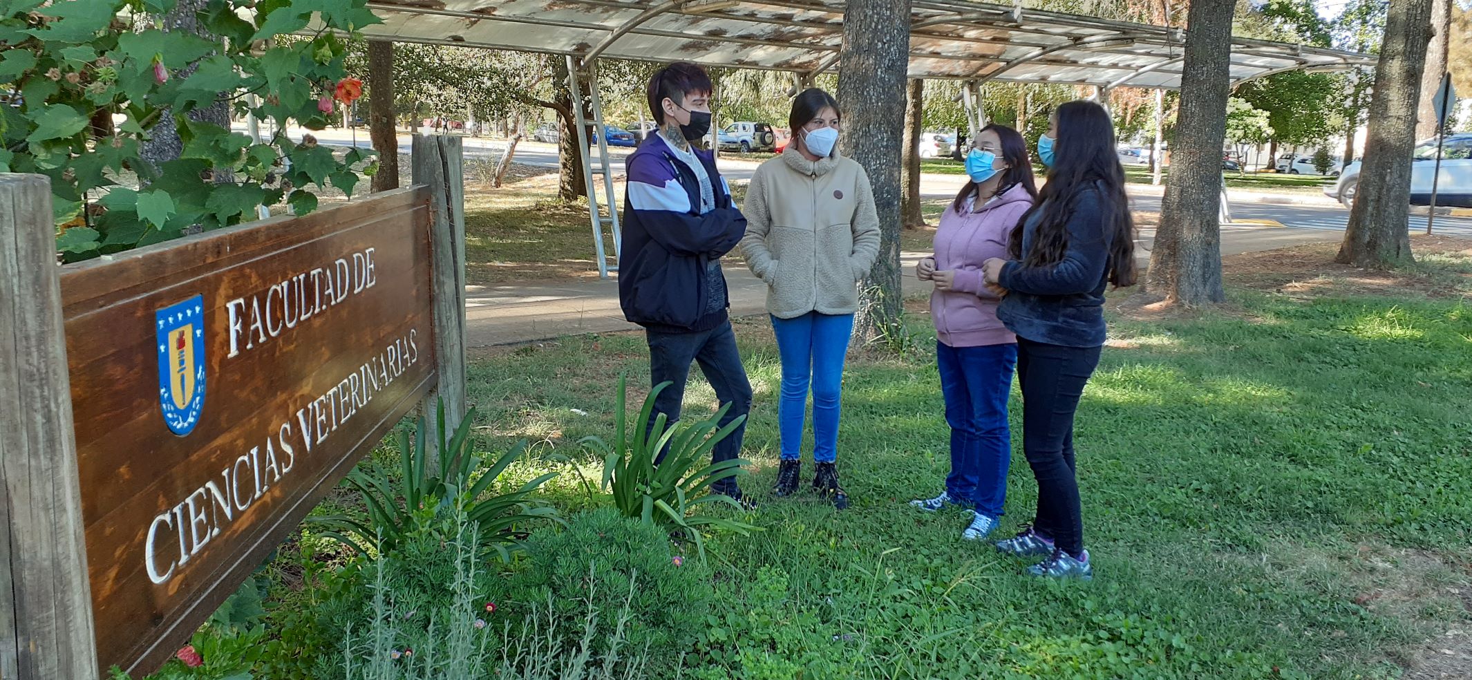 El campo ocupacional de la Medicina Veterinaria es amplio, cubriendo todas las especies, tanto domésticas como silvestres, razón por la cual es una carrera que atrae tanto a hombres como mujeres.