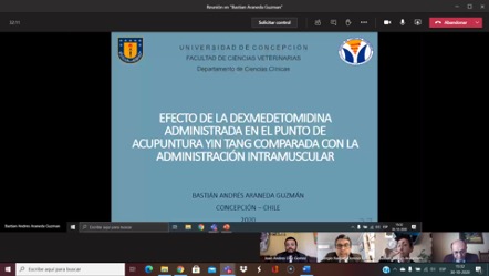 seminario-b-araneda